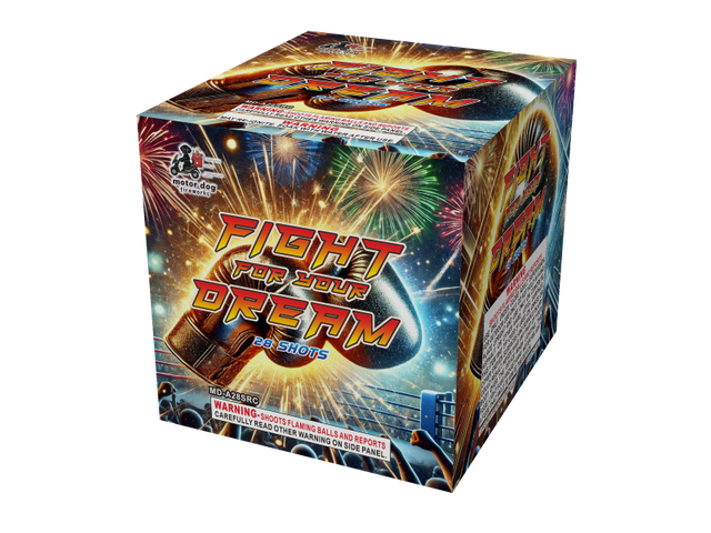 28 shots fight for your dream